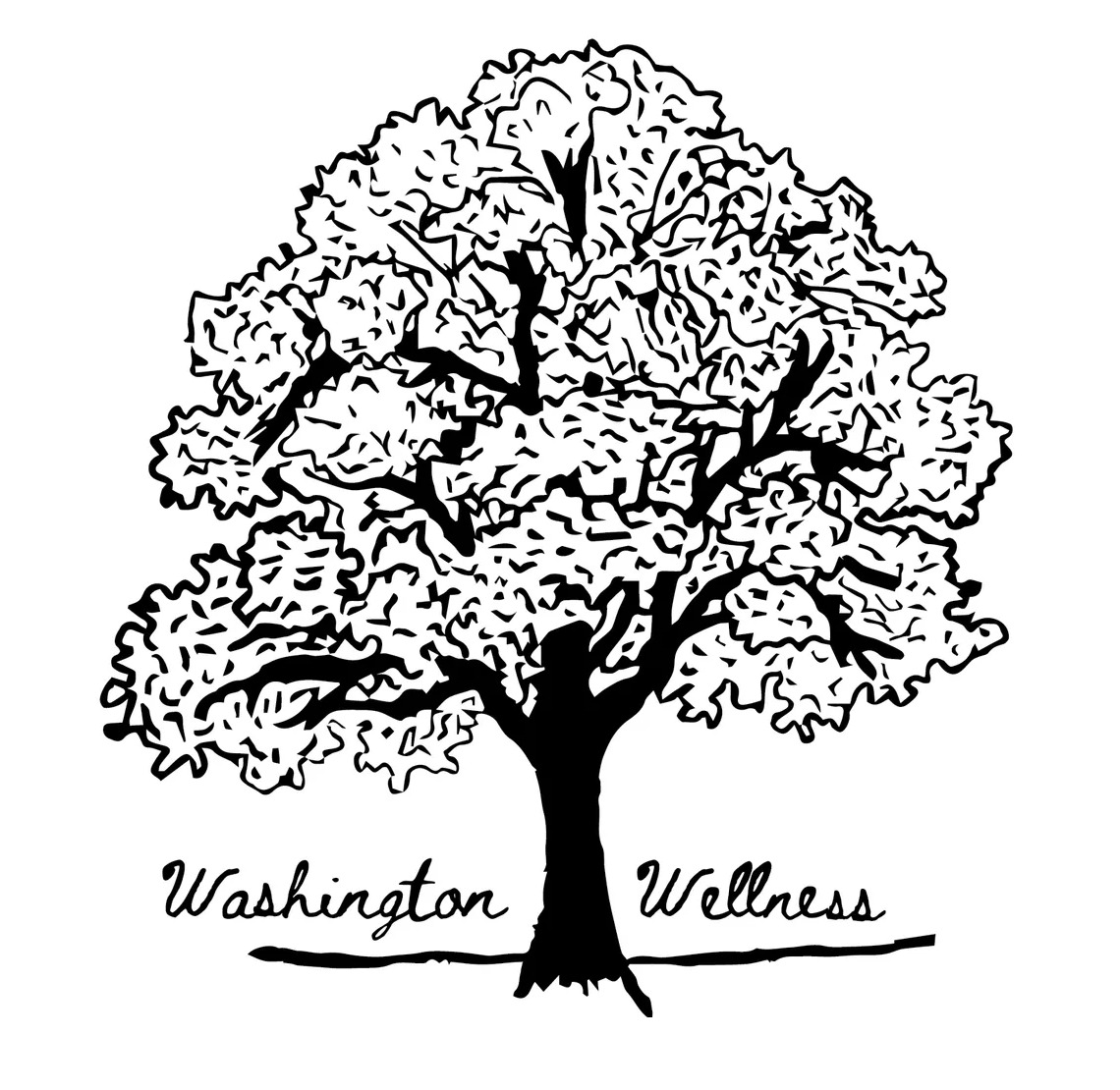 Washington Wellness Yoga